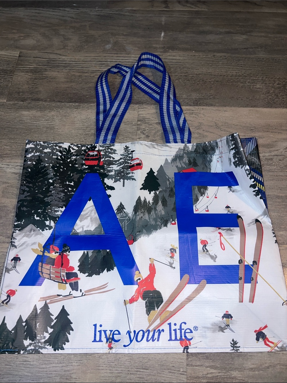 American Eagle Outfitters White Ski Print Tote with Blue AE Letters
